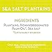 Artisan Tropic Sea Salt Plantain Chips, 4.5 OZ