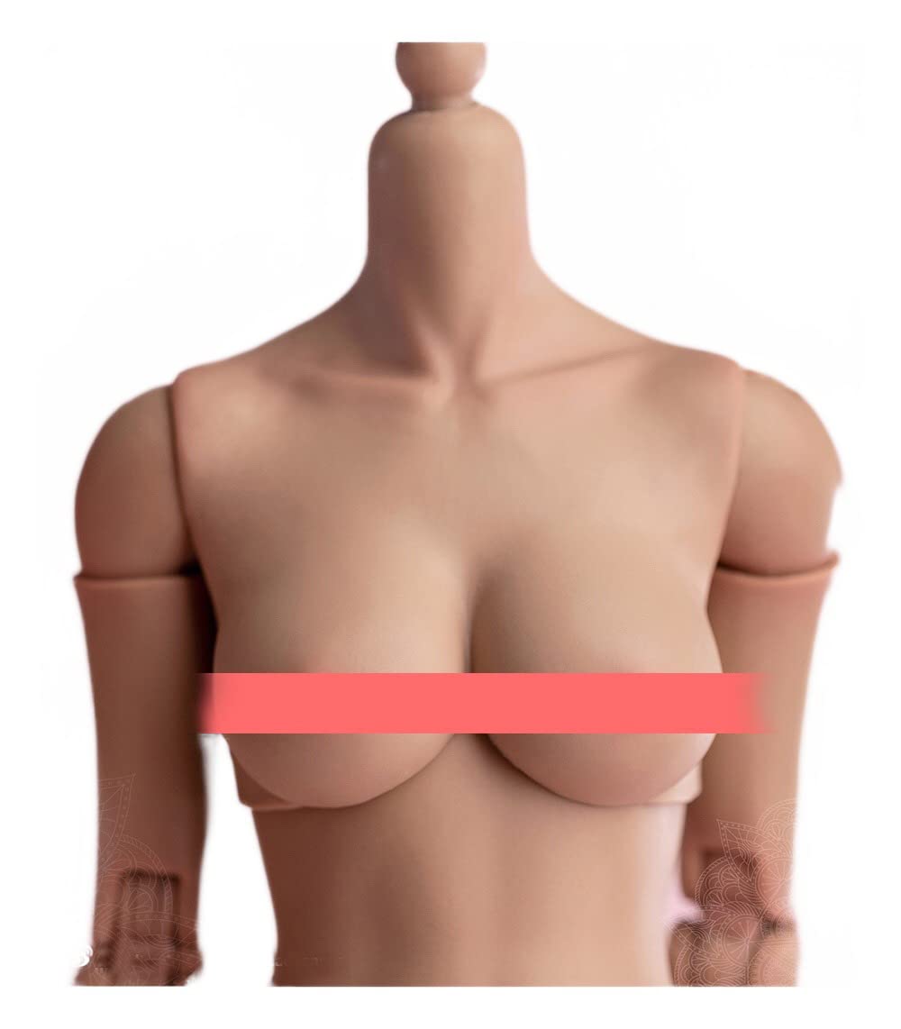 Titty 1/6スケールフィギュア Amazon.co.jp: [Tbmodel] Worldbox 1/6 フィギュア 女性 バスト