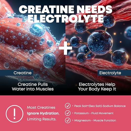 Image of Peak Revival-X Creatine Monohydrate Powder + Electrolyte Hydration Salt Powder, Sour Watermelon - Gluten-Free, Vegan, Non-GMO Supplement, 5000mg (5g) Per Serving, 30 Servings, 324g Per Container