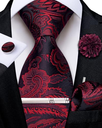 Image of DiBanGu Silk Zipper Ties for Men, Formal Pre-tied Necktie