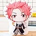 JunziWing Anime Fairy Tail Cuscino Peluche, Anime Natsu Cosplay Figura Bambola di Pezza, Regali di Natale di Compleanno per Ragazze 40 Cm