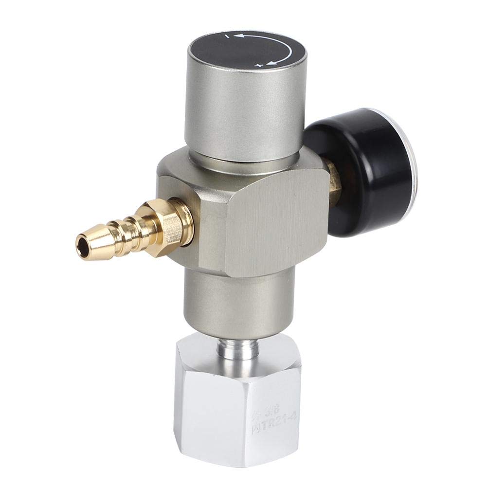 Mini manomètre de régulateur de gaz CO2 2 en 1, adaptateur de raccord de contrôle de pression 3/8in à TR21.4 pour