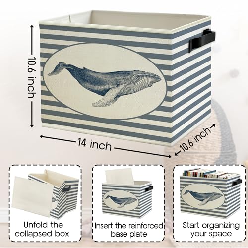 Image of Coastal Beach Whale Storage Bins Box with Handles, Blue Striped Beachy Ocean Whale Marine Biology Collapsible Basket Organizer for Bedroom Bathroom Books Clothes