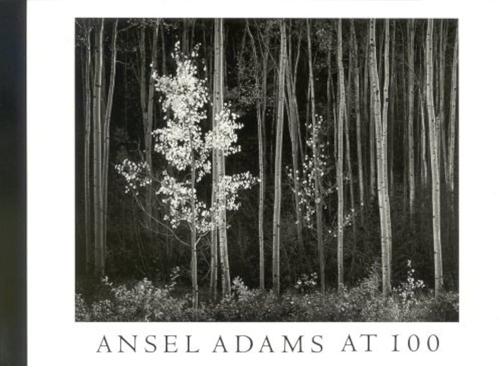 ANSEL ADAMS \"AT 100\"　ハードカバー s-l400.jpg