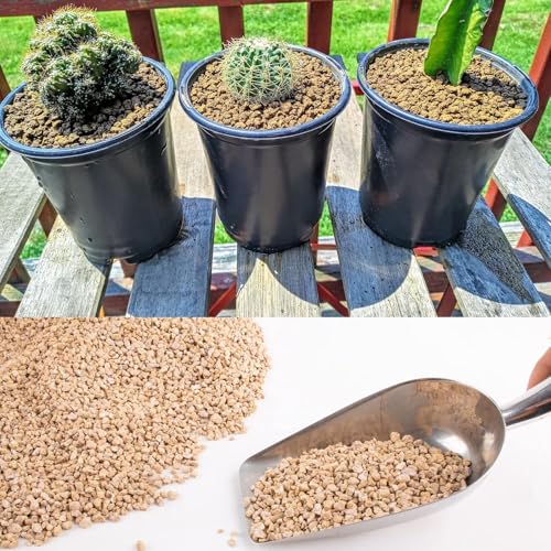 Image of 45lb Maifanitum Stones for Succulent Cactus Bonsai Decorative Rocks-Indoor Plants Soil Covers,Horticultural Gravel, Potting Pebbles for Terrarium, Fairy Gardening, Top Dressing