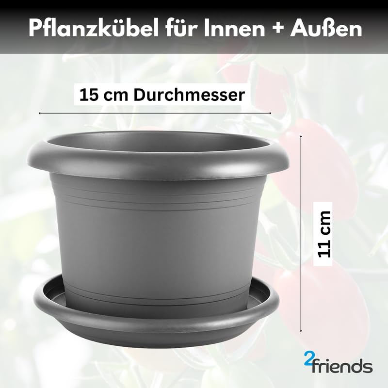 2friends 8er Set Pflanzkübel 15 Cm – Anthrazit, Frostsicher, Für Sukkulenten & Kräuter, Mit Untersetzer