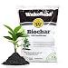 Wakefield Biochar Soil Conditioner - Premium - 1 Cu/Ft Bag (7.5 Gallons) - 100% Biochar - USDA Certified