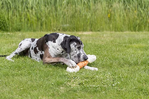 TRIXIE Glutenfreie Und Zuckerfreie Denta Fun Mega Chicken Chewing Bone, Hundeleckerli, 40 cm, 500 G - 31175