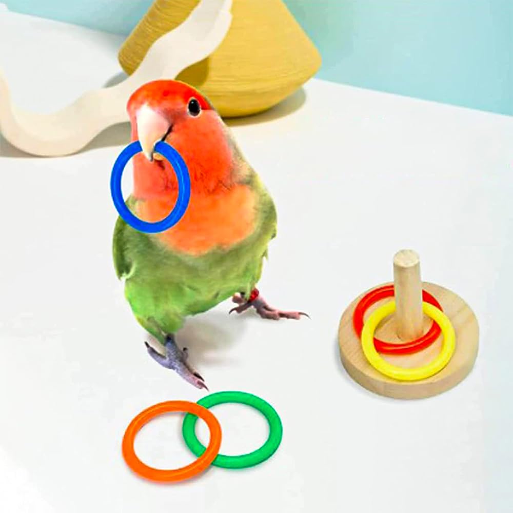 Hsthe Sea 4 Pcs Parrot Chew Bird Bauble Ring Basketball Hoop Skateboard Set for Budgies Cockatiels Parakeets Bird To-y Accessories - Image 4