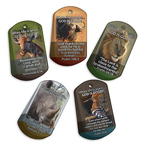 Vacation Bible School (VBS) "God is Good" Brag Tags Value Pack: 100 Tags (20 Tags for Each Design) + 25 Chains