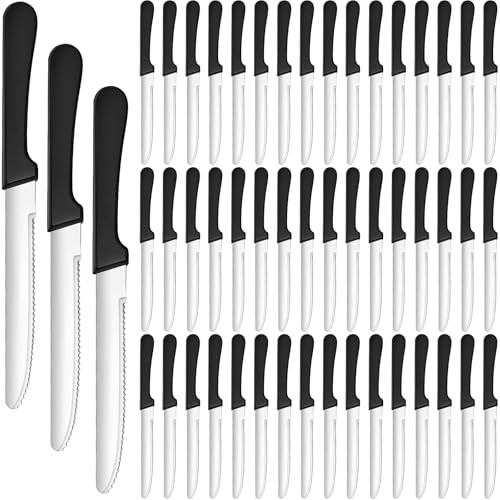 DKALIO 50 PCS 8.9 Inch Serrated Steak Knife Set Bulk Rounded Tip Stainless Steel Steak Knives Sharp Blade Flatware for Restaurant Kitchen Banquets Camping
