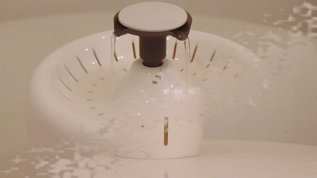 small pet drinking fountain