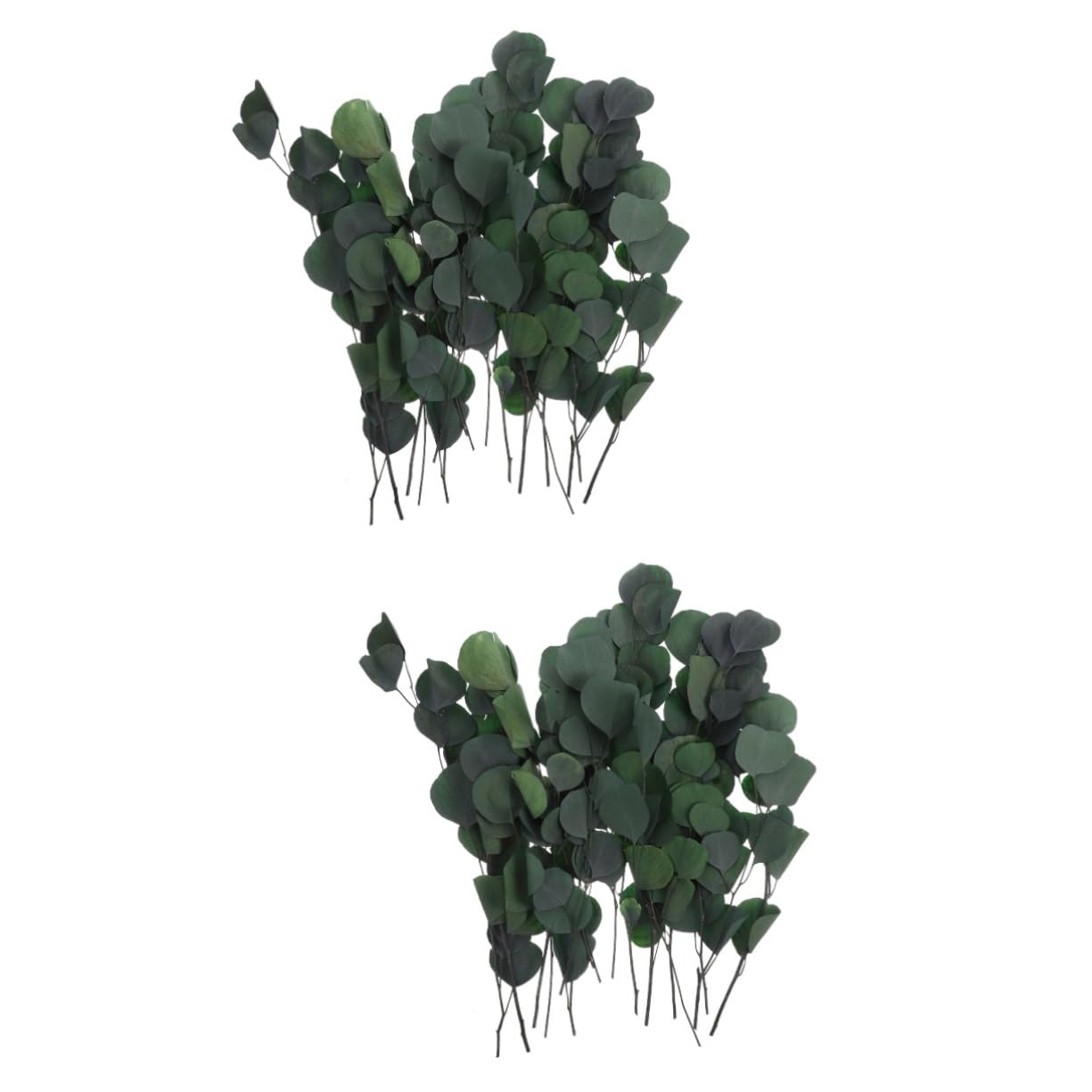 STOBAZA 2piezas Ramo De Eucalipto Inmortal Seco para Decoración De Fiestas Adorno Natural para Hogar y Eventos Especiales