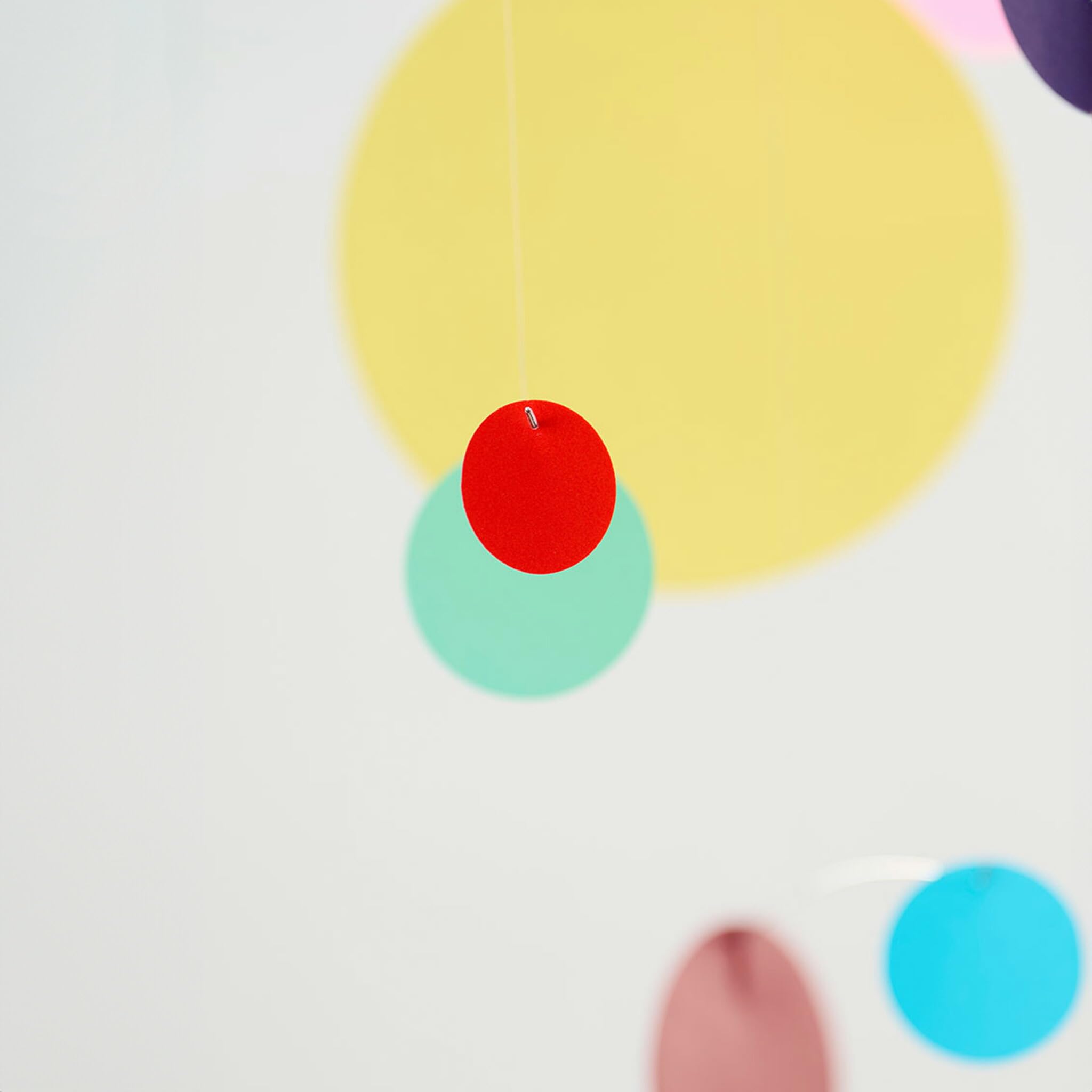 Confetti, colours