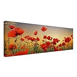 Fertig zum Aufhängen: Nur 1 Minute Nagel in die Wand, Bild aufhängen, Fertig!