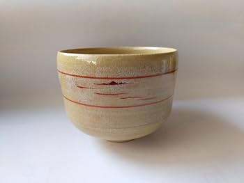 N499 茶碗 『赤膚焼』『七代 古瀬尭三造』 抹茶碗 共箱