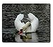 Produktbild Mauspad Gaming Mauspad Elegante Swan Trinkwasser Naturkautschuk Material PN00X3244