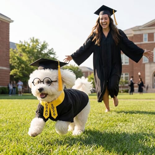 Disfraz para perro graduación completo con gorro y accesorios miniatura 6