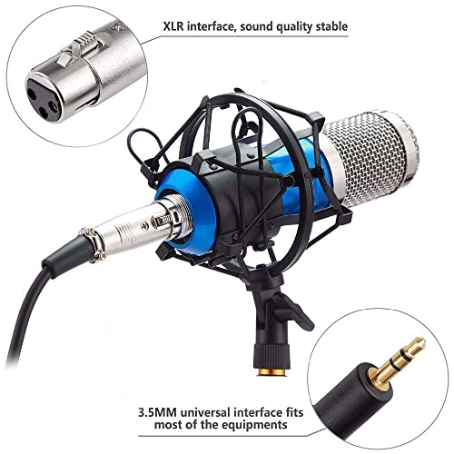 Image of IMAGINEA BM800 Streaming Condenser Microphone | Full Studio Set for Online Meeting, Music Recording, Broadcast, Vocal Work, Podcasting, Interviews & Gaming with Mount Stand (Blue)