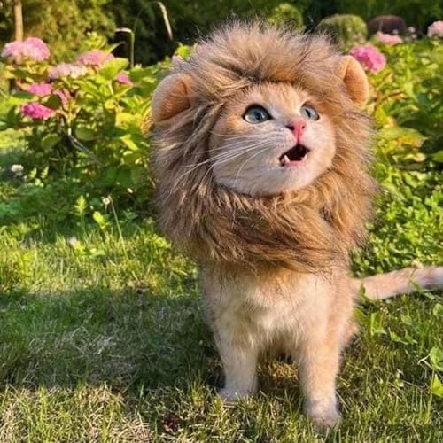Peruca de juba de leão para animais de estimação, chapéu de gato juba de leão,Peruca de juba de leão