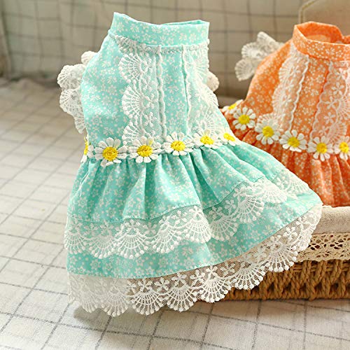 [SeitenFB]̕ ԕs[X XJ[g OJ {^ ybgObY petbaby m 킢 UyȂ܂B B-L