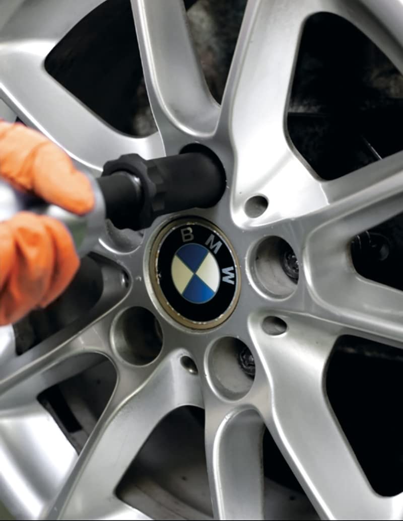 BETA - Kit per Rimozione Bulloni Antifurto Ruote BMW e MINI con Anello Libero, Set Professionale per Smontaggio Bulloni Antifurto Ruota Officina Autoriparazione e Gommisti, 972/C4 BMW
