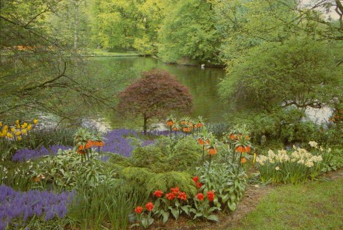 Practical Horticulture: A Guide to Growing Indo... 0835957713 Book Cover