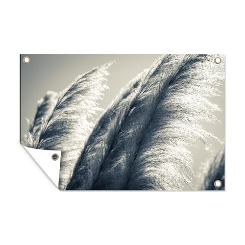 MuchoWow Poster exterieur Herbe de la pampa - Noir - Blanc - Nature Decoration murale 120x80 cm Résistant aux intempéries/soleil