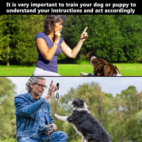 SOGHO Hundepfeife,Klicker Hund,Hundepfeife Rütter Rückruf,Pfeife Klicker Hundeklicker Set,Hundepfeife Mit Klicker Und Lanyard,2 IN 1 Funktionsdesign Für Hund,Katze,(Schwarz)