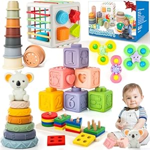 Baby Toys 6 to 12 Months, Montessor...