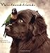 New-found-friends
