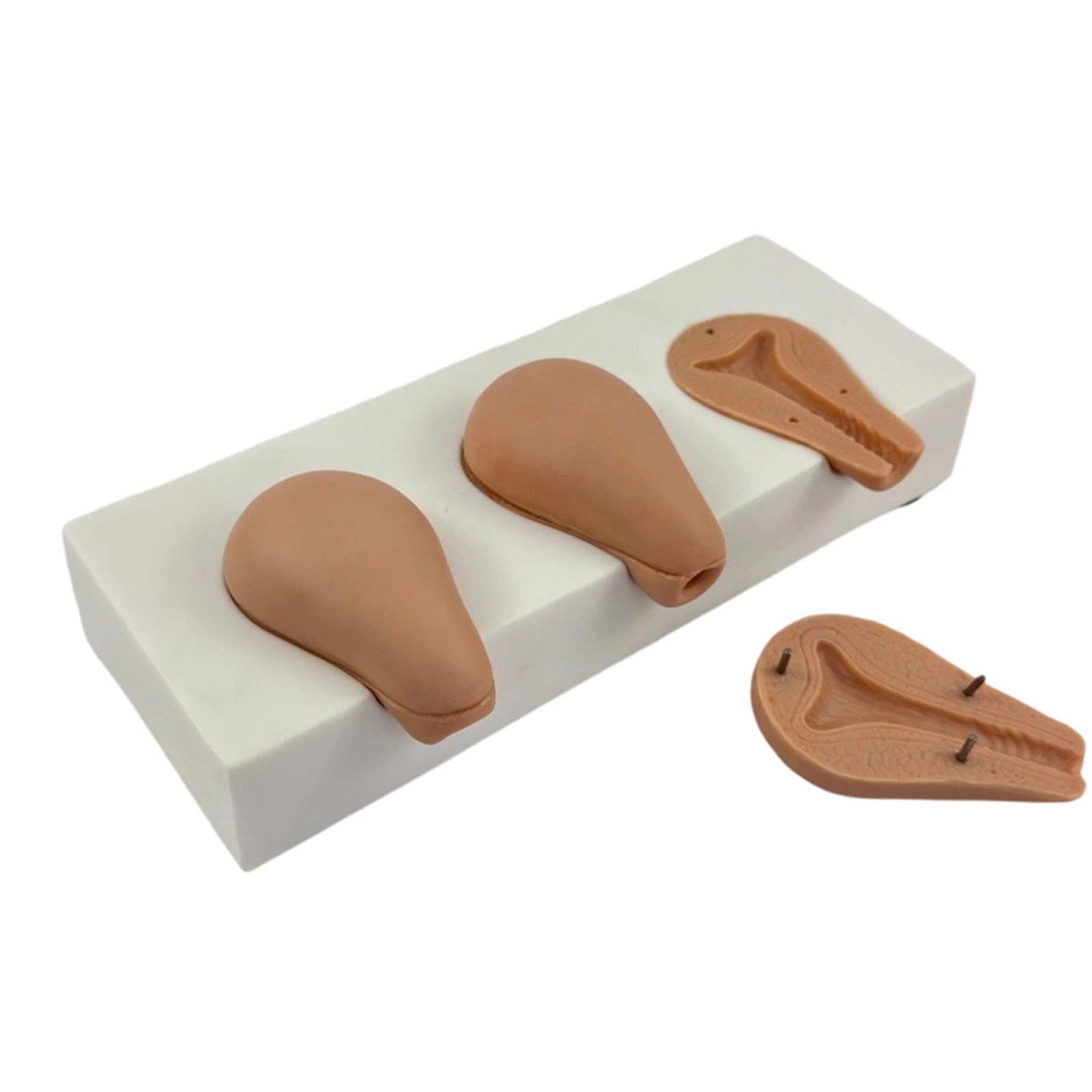 Kit professionale per anatomia uterina, strumento di texture in PVC per lo sviluppo delle abilità chirurgiche, strumenti di allenamento ginecologici