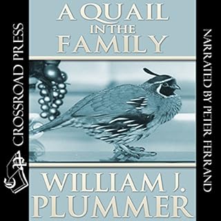 A Quail in the Family: The Story of Peep-Sight