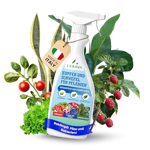LERAVA Kupfer-Schwefel Fungizid Spray (700 ml) - Biologisches Spritzmittel gegen Mehltau Pilzbefall und Blattflecken - Effektiver universal Pflanzenschutz - Mit Eisen Mangan und Zink angereichert
