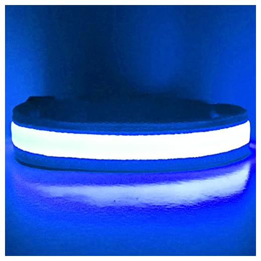 PetSol USB-laddningsbar LED-hundsäkerhetshalsband – superljusa lysdioder – ökad säkerhet och extrem synlighet – 4 färger 5 storlekar (medium (40 cm – 50 cm/15,7 tum – 19,7 tum), blå)