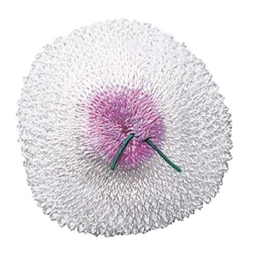 Best Lantern Mantles Illuminate Your Adventures with These Top Picks