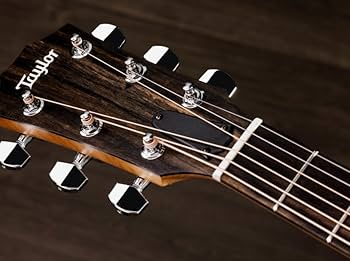 Amazon | Taylor 110CE-S Sitka Spruce Top テイラー