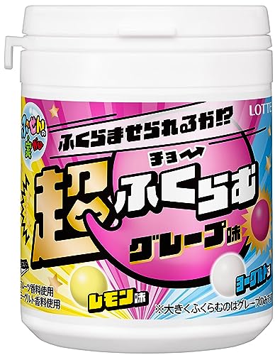 ロッテ ガム ふ～せんの実ボトル ワクワクみっくす!
