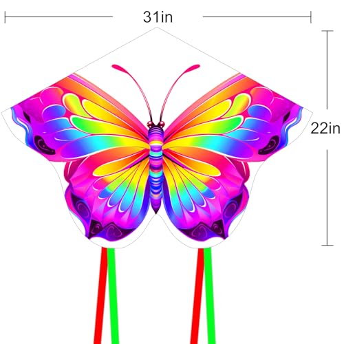 HENGDA KITE 2 Pack Butterfly Kite,for Kids and Adults,Easy to Fly,Excellent Fabric and Structure Design,The Pictures are Beautiful in high Definition,Suitable for Beginners(31x22)