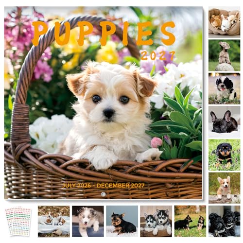Puppy Dog Wall Calendar 2026-2027