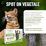 101 love for pet B0BY5F7TK2 lato 2