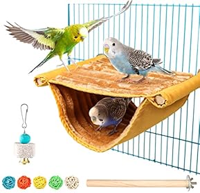 鳥用止まり木 - Amazon.co.jp