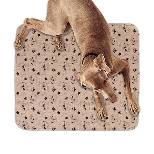 pgCV[g,z ybg g[jO }bg - ėp\ \ z ybgp A pbh - spvCyN[ggClHŔLp