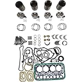 SPAKYGIE SD25 Overhaul Rebuild Kit fits for Nissan Engine