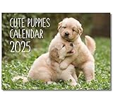 2025 A4 Puppies Calendar. One Month to View. A3 when open. Dogs Wall Calendar by Absolutely Yours.