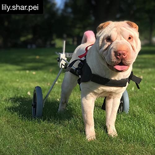 Image of Dog Wheelchair for Back Legs - K9 Orthopedic Surgeon Designed & Tested - Adjustable Dog Harness Stroller Cart with All Terrain Wheels Hind Leg Support - Mobility Aid by Best Friend Mobility - Small