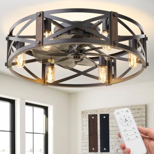 Image of Passky 24 inch Caged Ceiling Fans with Lights and Remote, Low Profile Fandelier