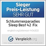 Lattenrost 140 x 200 cm Test