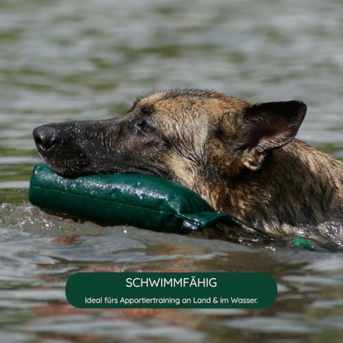 Romneys Standard-Dummy 500g Hundeapportel - Extrem robust und schwimmfähig (Grün)