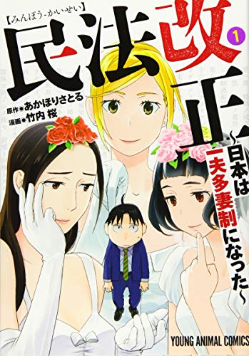 Amazon.co.jp: あかほり さとる: 本、バイオグラフィー、最新